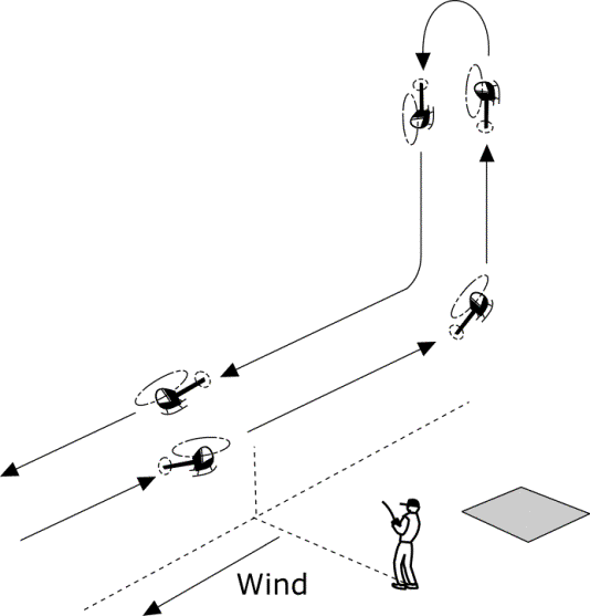 BMFA Rotary Exam Diagram 6