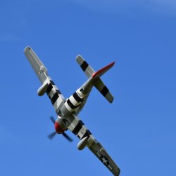 Sunday_Flying_08092019
